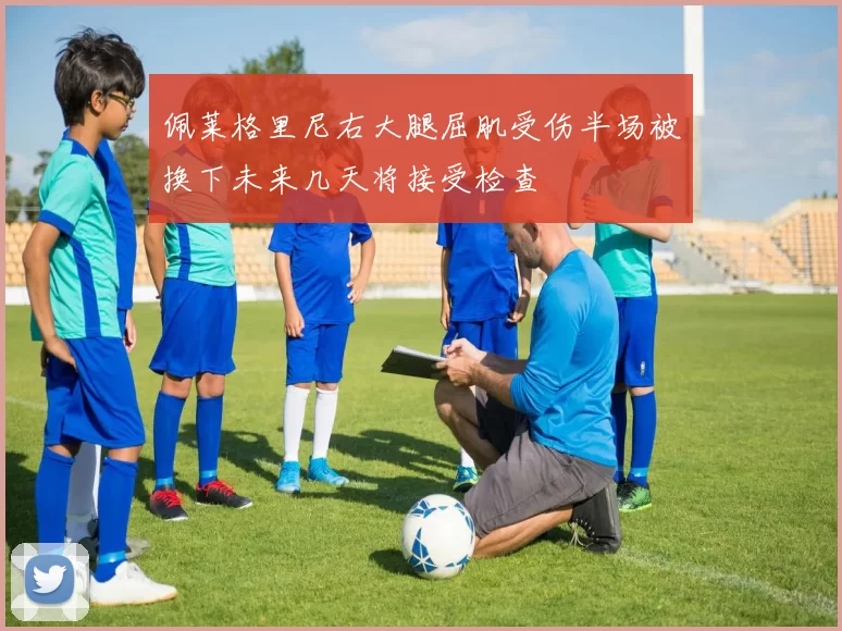 佩莱格里尼右大腿屈肌受伤半场被换下未来几天将接受检查