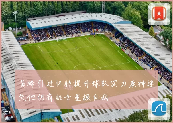 黄蜂引进怀特提升球队实力康神迷失但仍有机会重振自我
