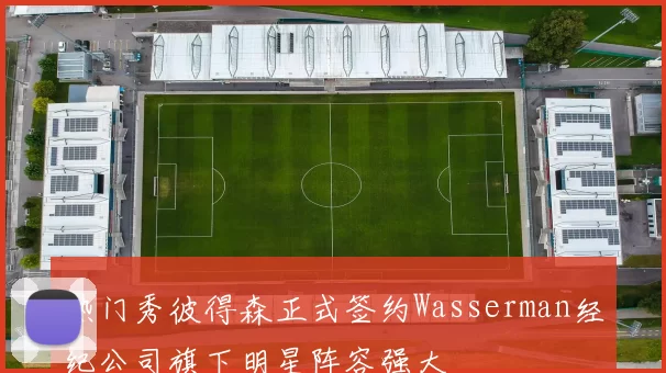 热门秀彼得森正式签约Wasserman经纪公司旗下明星阵容强大
