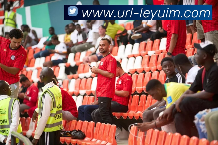 App Interface Preview